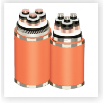 Cáp có giáp kim loại /